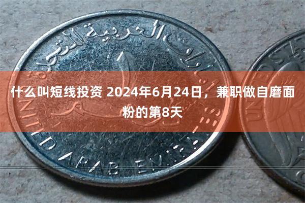 什么叫短线投资 2024年6月24日，兼职做自磨面粉的第8天