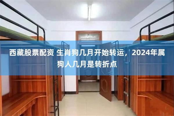 西藏股票配资 生肖狗几月开始转运，2024年属狗人几月是转折点