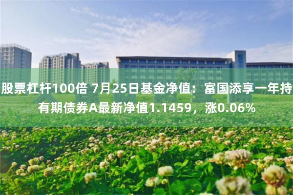 股票杠杆100倍 7月25日基金净值：富国添享一年持有期债券A最新净值1.1459，涨0.06%