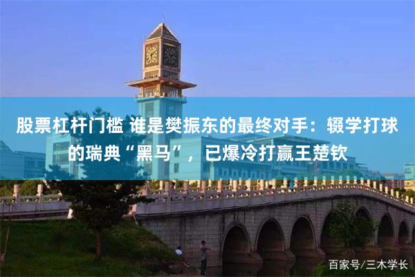 股票杠杆门槛 谁是樊振东的最终对手：辍学打球的瑞典“黑马”，已爆冷打赢王楚钦