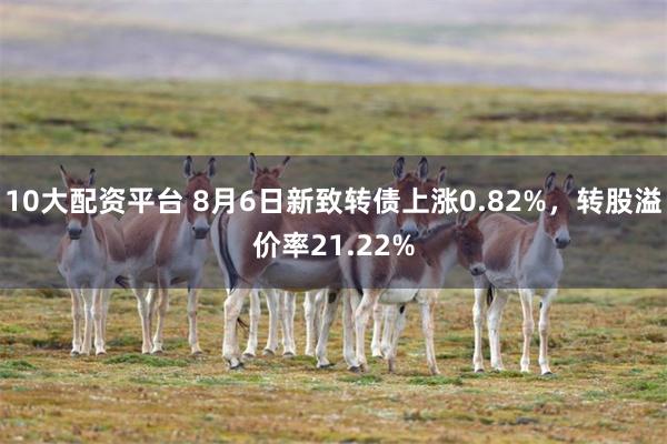 10大配资平台 8月6日新致转债上涨0.82%，转股溢价率21.22%