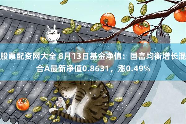 股票配资网大全 8月13日基金净值：国富均衡增长混合A最新净值0.8631，涨0.49%