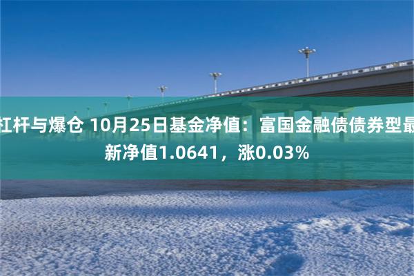 杠杆与爆仓 10月25日基金净值：富国金融债债券型最新净值1.0641，涨0.03%