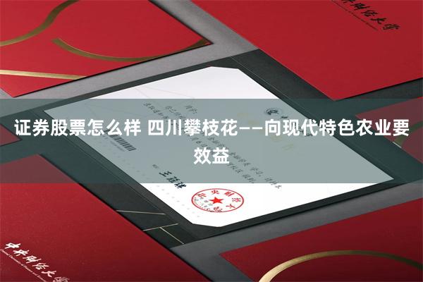 证券股票怎么样 四川攀枝花——向现代特色农业要效益