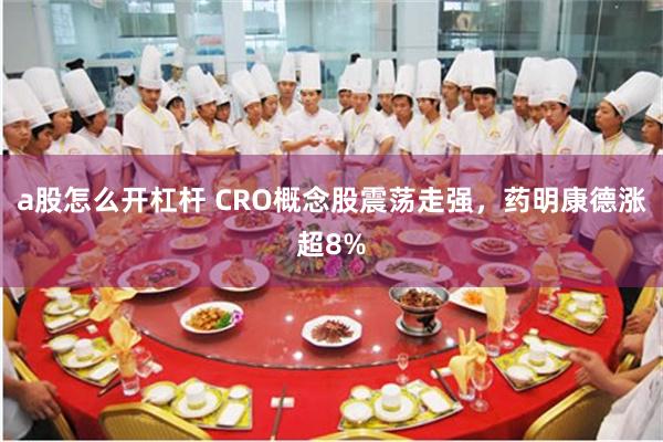 a股怎么开杠杆 CRO概念股震荡走强，药明康德涨超8%