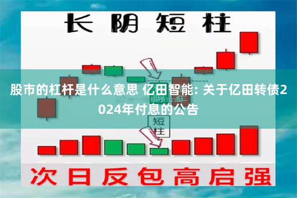 股市的杠杆是什么意思 亿田智能: 关于亿田转债2024年付息的公告