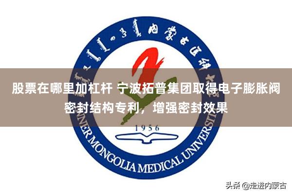 股票在哪里加杠杆 宁波拓普集团取得电子膨胀阀密封结构专利，增强密封效果