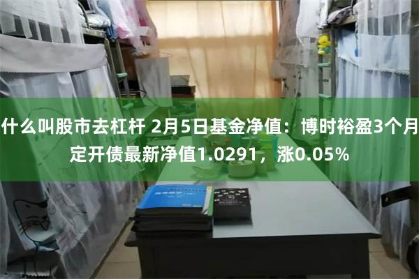 什么叫股市去杠杆 2月5日基金净值：博时裕盈3个月定开债最新净值1.0291，涨0.05%